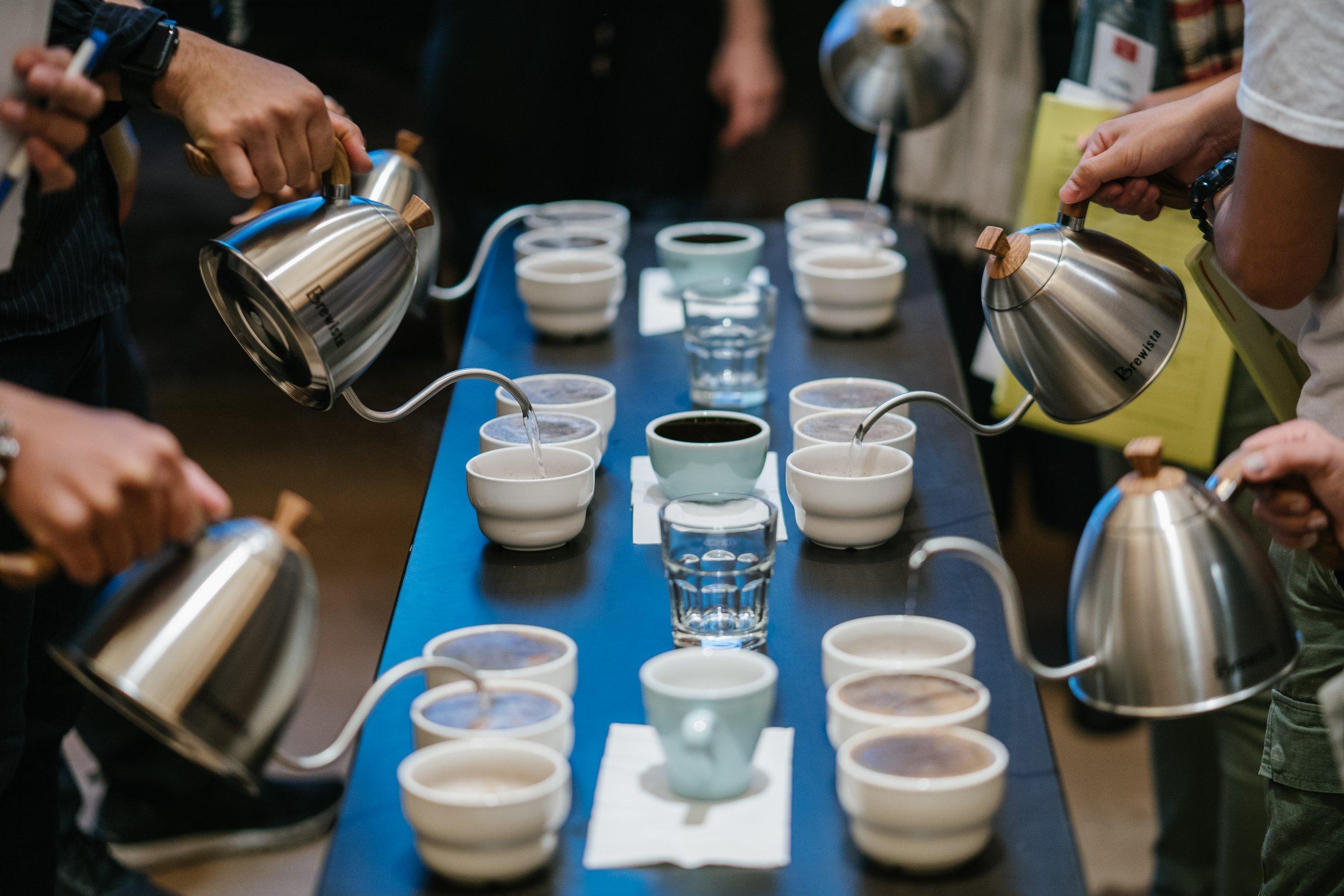 Personalized Coffee Discovery Sessions